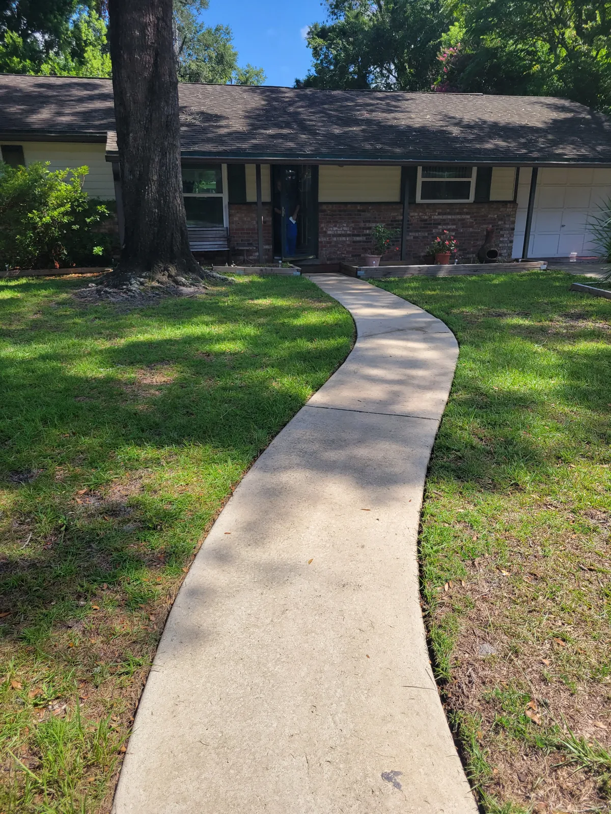 After: Driveway and walkway with heavy buildup. Night-and-day difference after one visit.