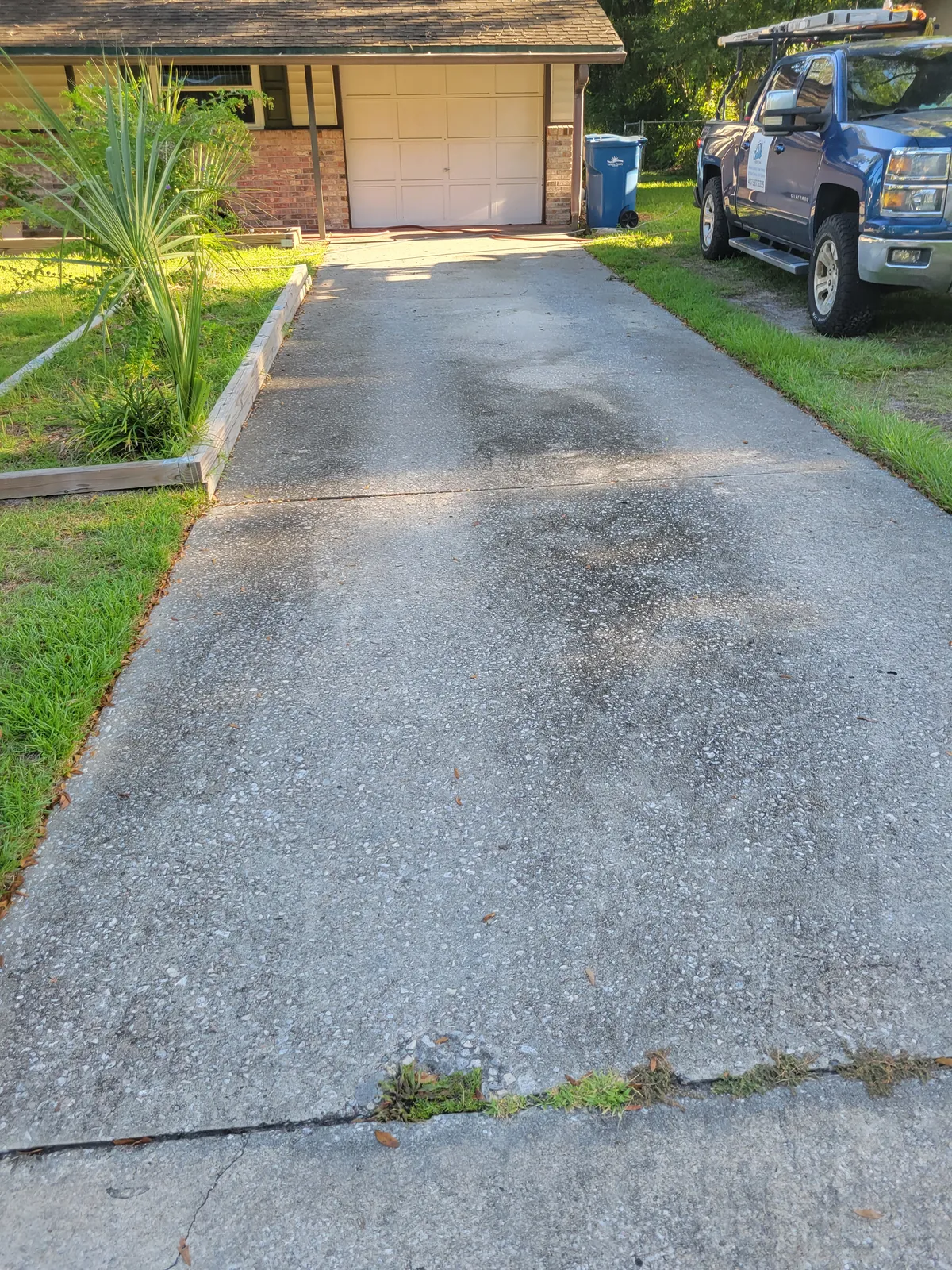 Before: Driveway and walkway with heavy buildup. Night-and-day difference after one visit.