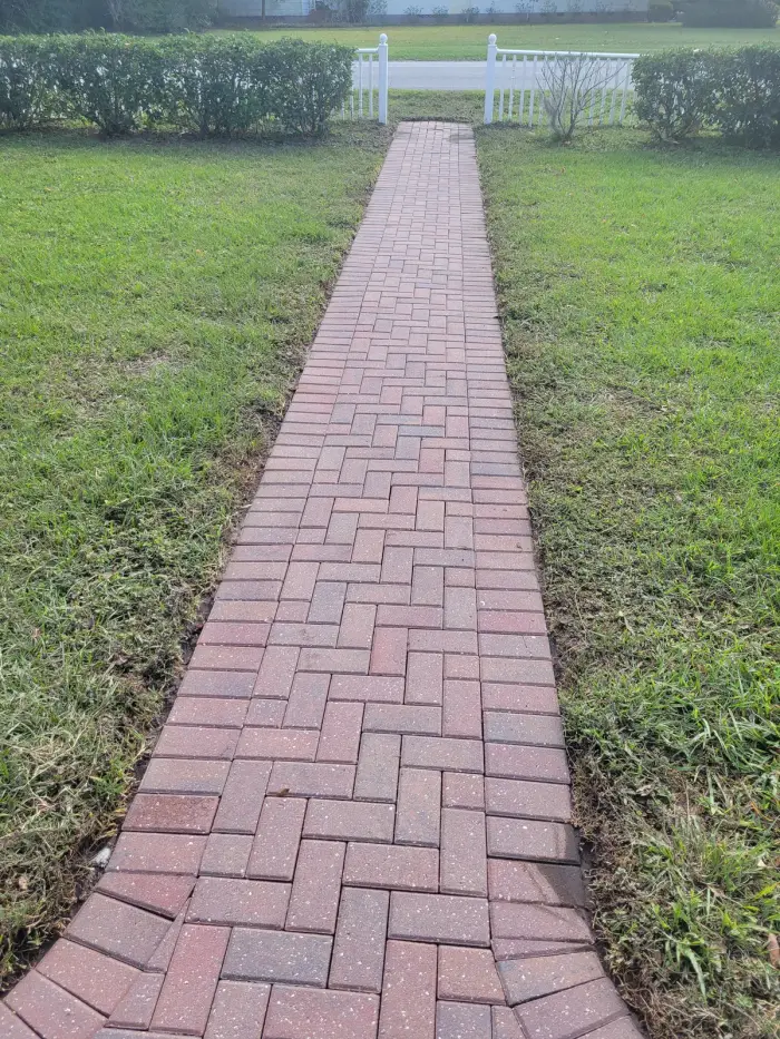 After: Brick paver walkway covered in moss and algae. Original color fully restored.