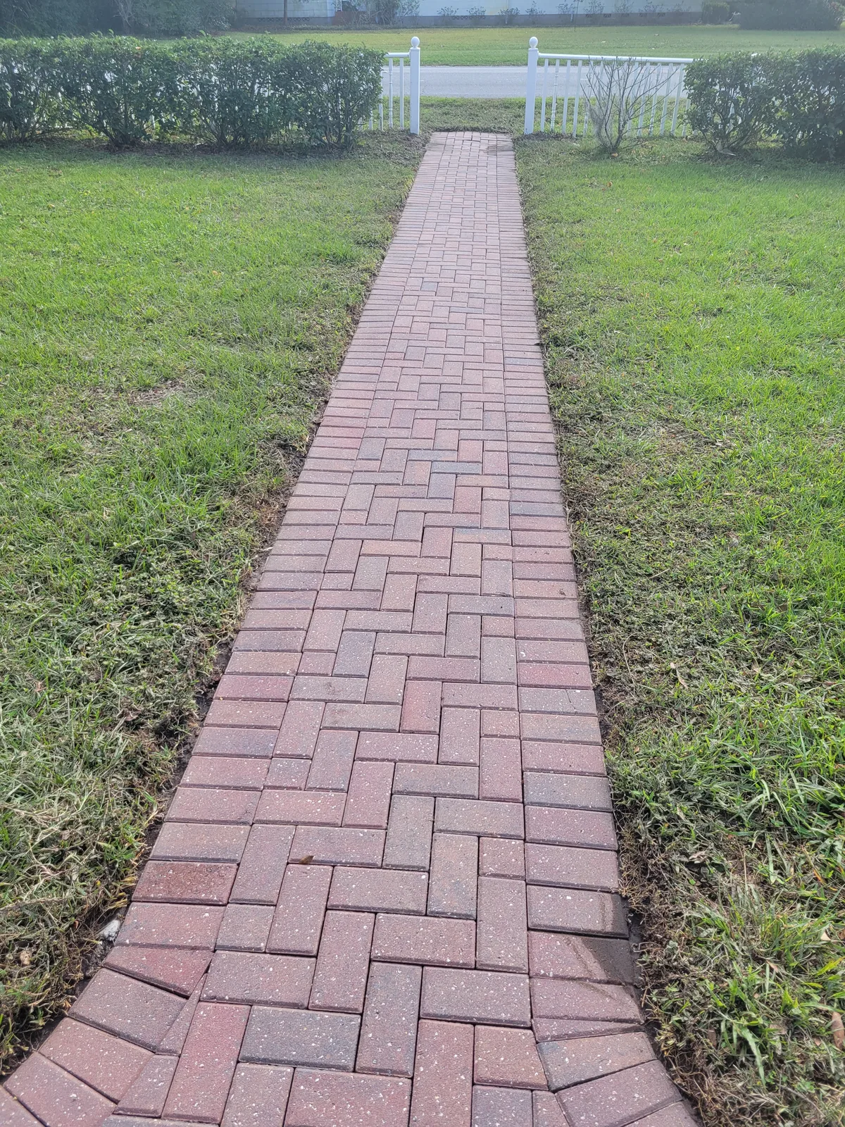 Paver Cleaning service